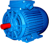Электродвигатель брызгозащищенный 5АМН 250M8